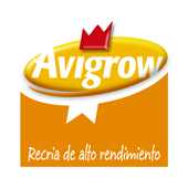 comunidea_proyectos_diseño_web